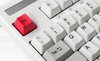 Nullskatteyter